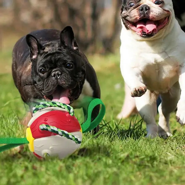 Interactive frisbee ball dog toy