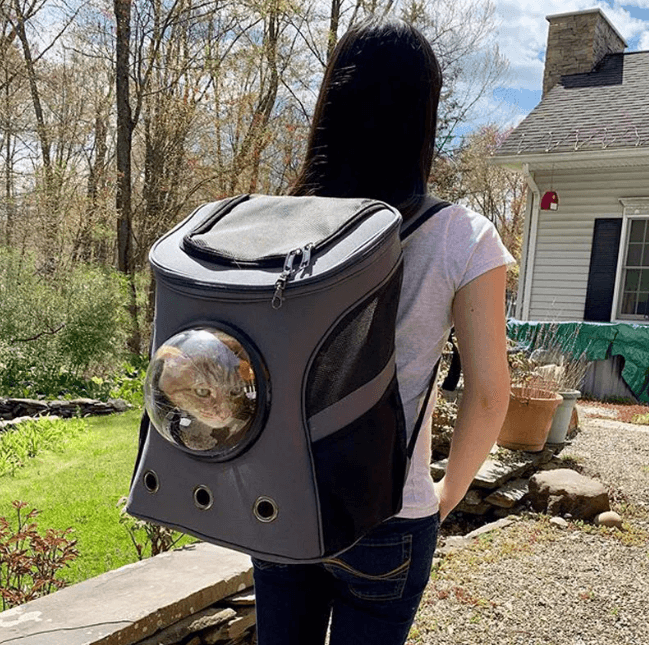 Pet travel basket