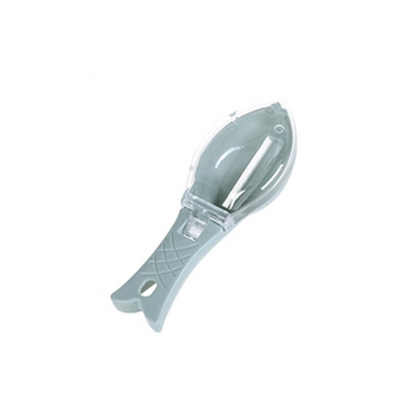 Fish scaler brush