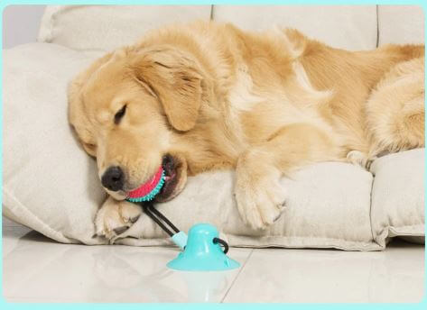 Interactive Dog Chewing Toy