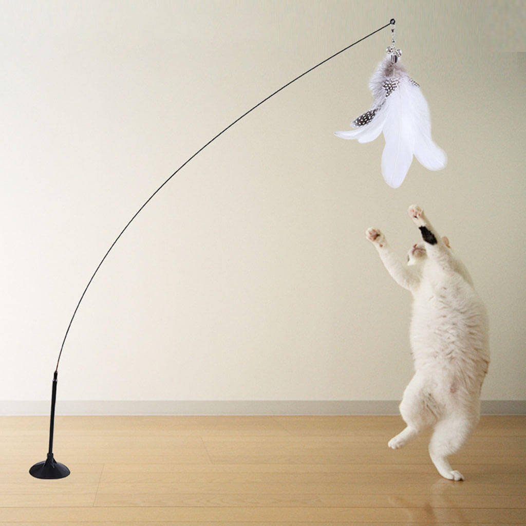 Interactive feather stick toy cat