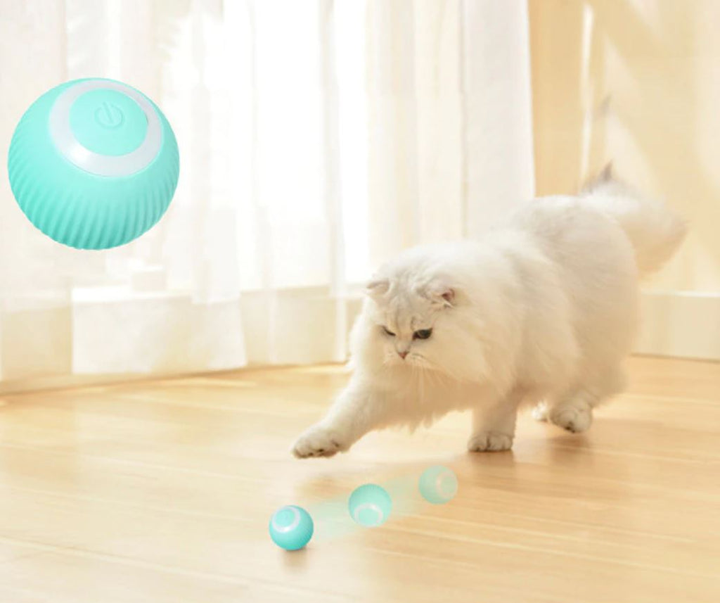 Pet Interactive Smart Rolling Ball