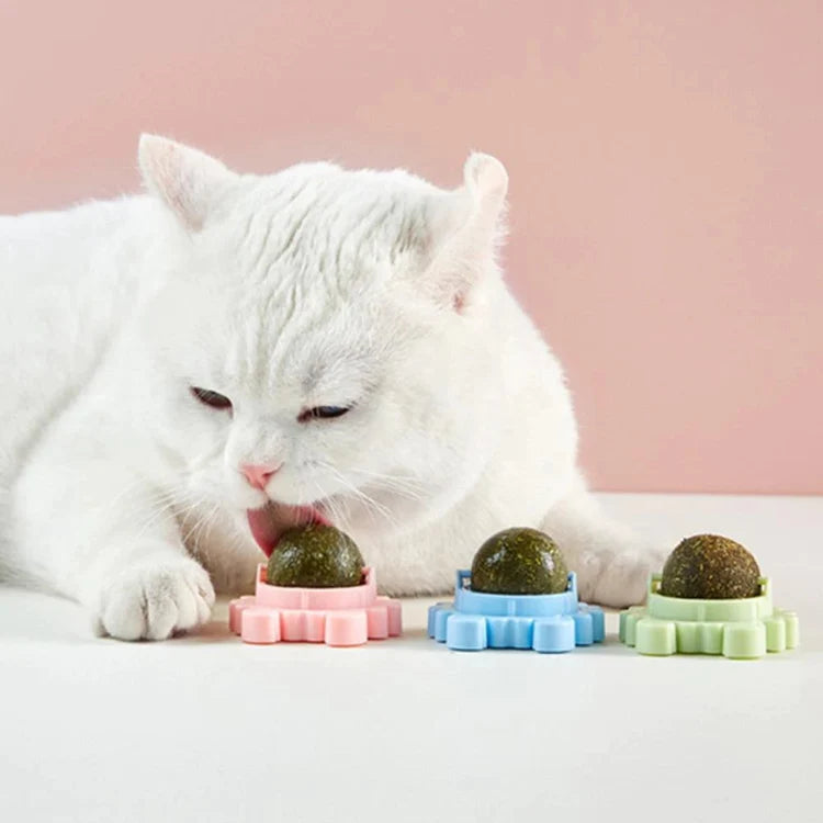 Crab Rotating Catnip Ball