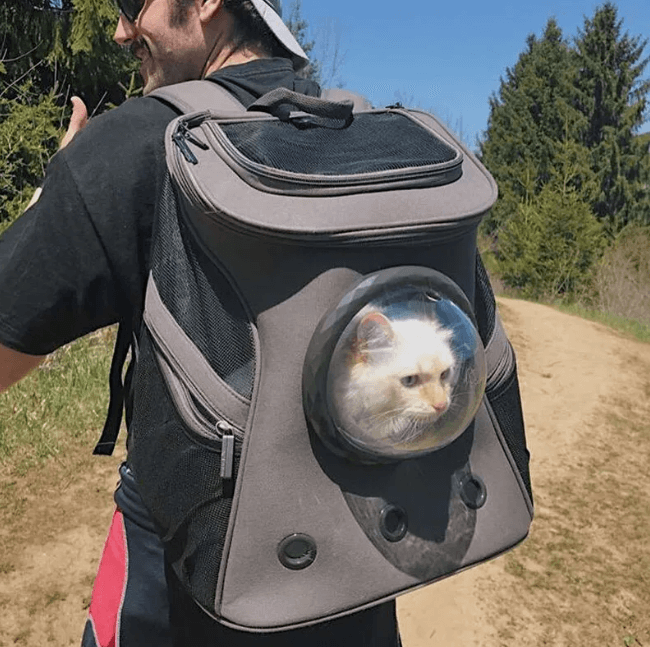 Pet travel basket