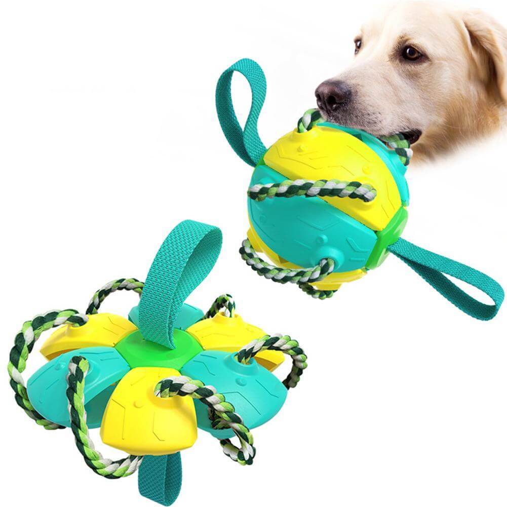 Interactive frisbee ball dog toy