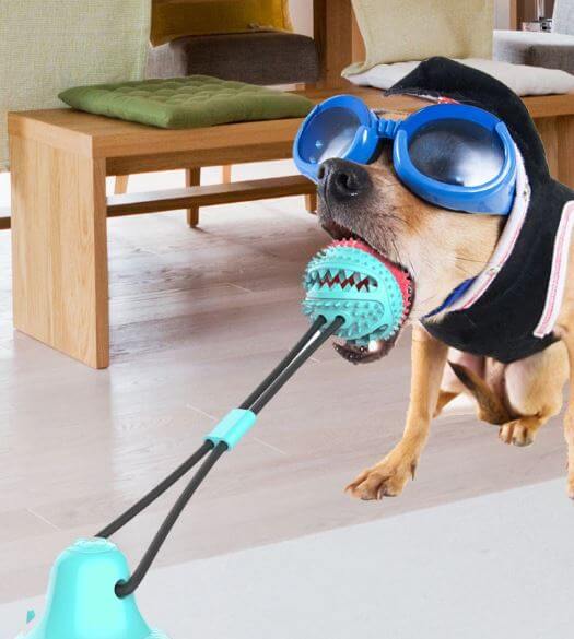 Interactive Dog Chewing Toy