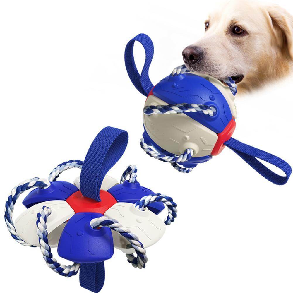 Interactive frisbee ball dog toy