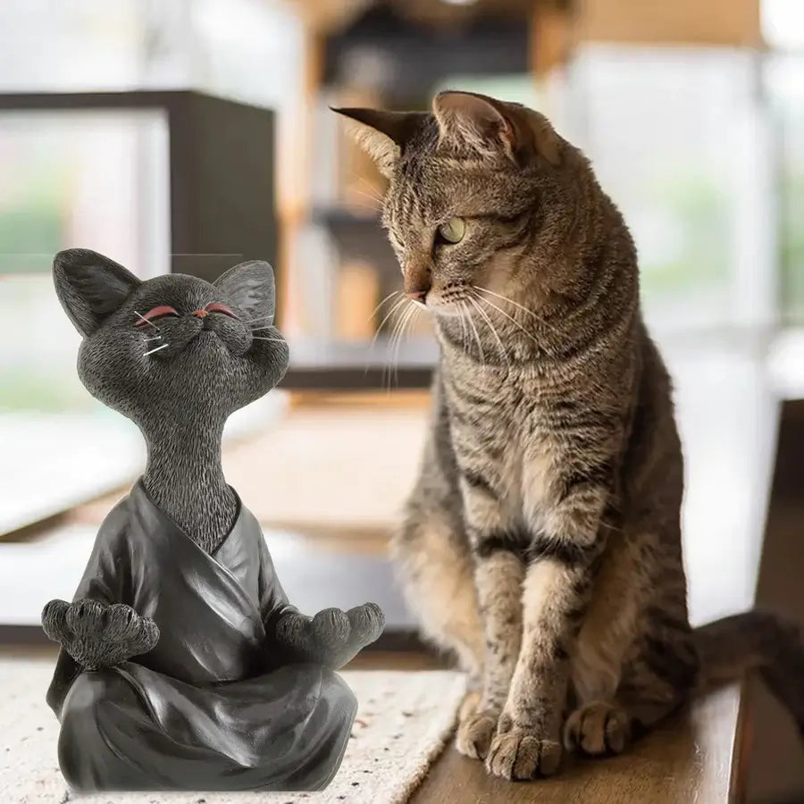 Mediterende Buddha-kattfigur