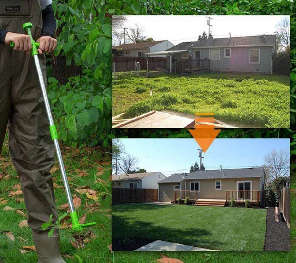 Weed remover with long handle