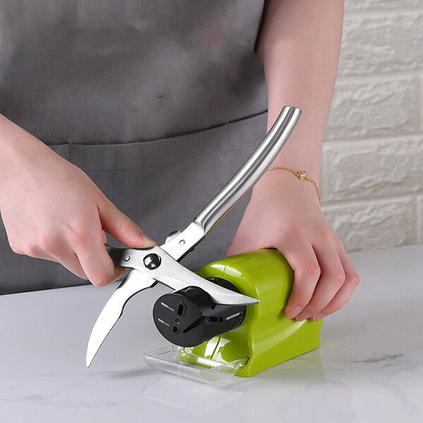 Electric knife sharpener