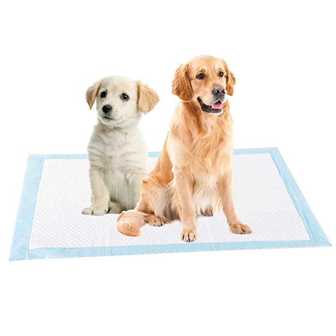 Dog pee