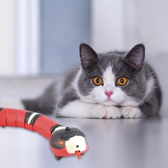 Snake Cat Toy