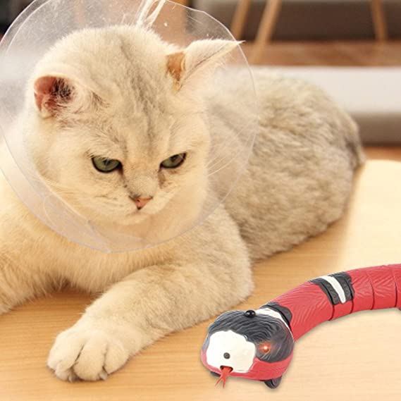 Snake Cat Toy