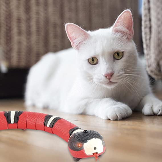 Snake Cat Toy