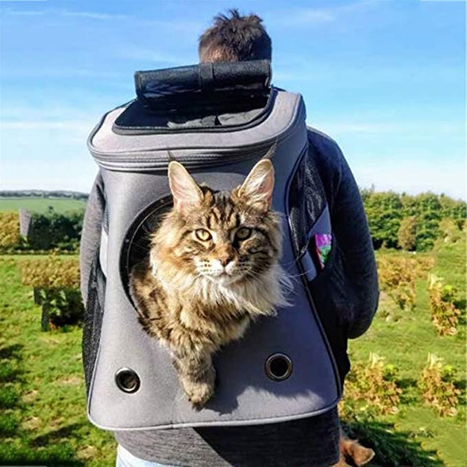 Pet travel basket