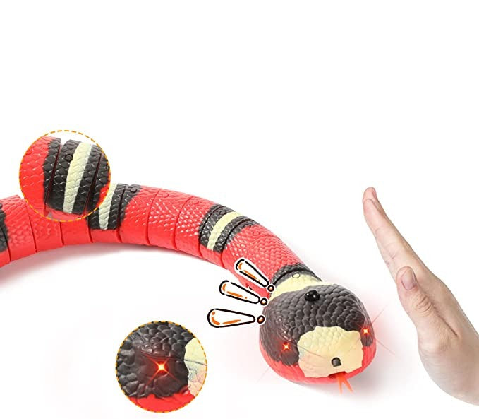 Snake Cat Toy