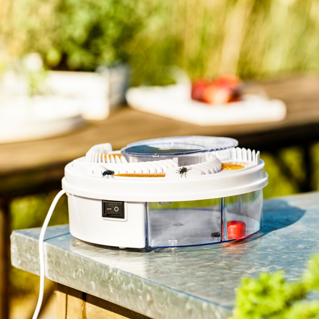 Automatic Fly Trap