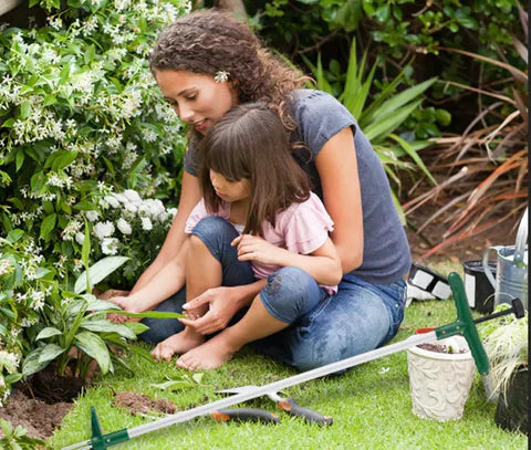 Weed remover with long handle