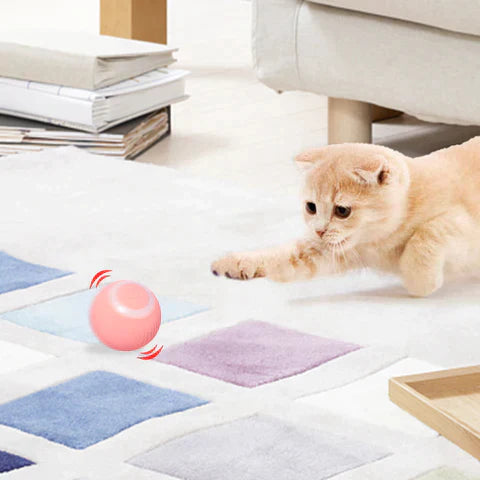 Pet Interactive Smart Rolling Ball