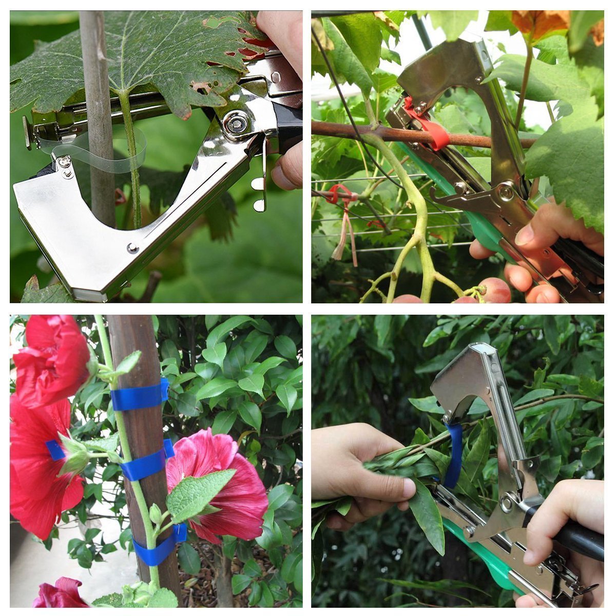 Plant binder