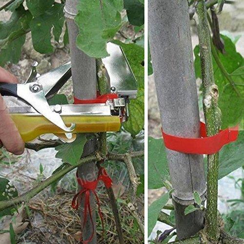 Plant binder