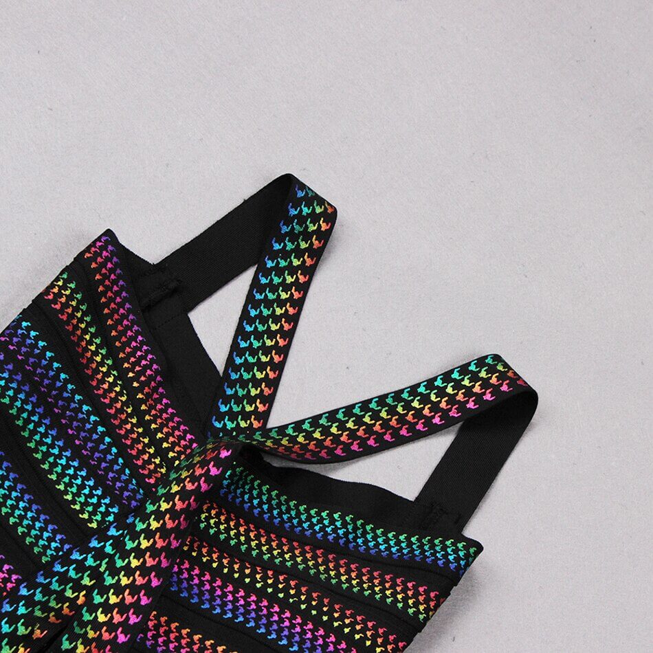 Women Multi Color Party Dress