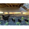 Chicken set - 4-piece decoration set for indoors and outdoors!