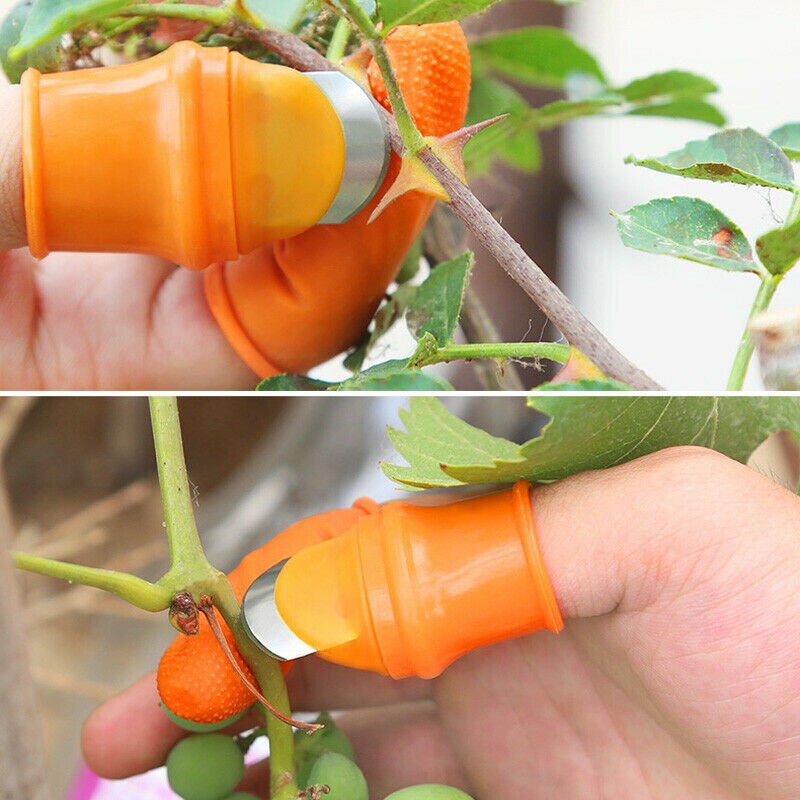 Vegetable picking knife