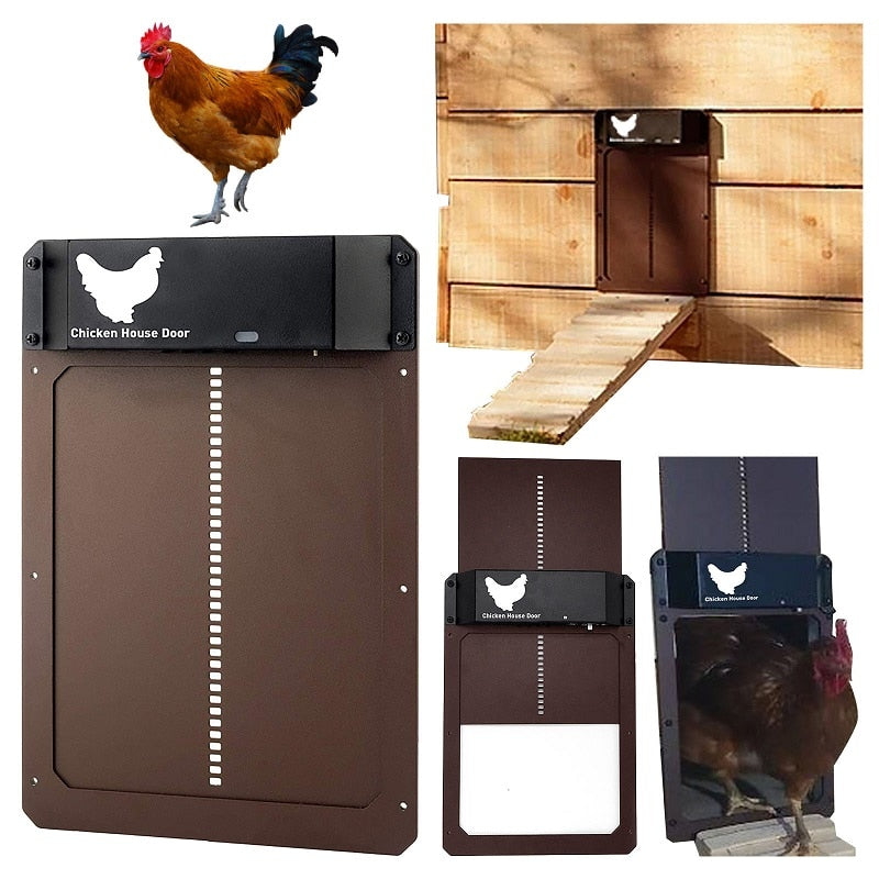 Automatic chicken coop door