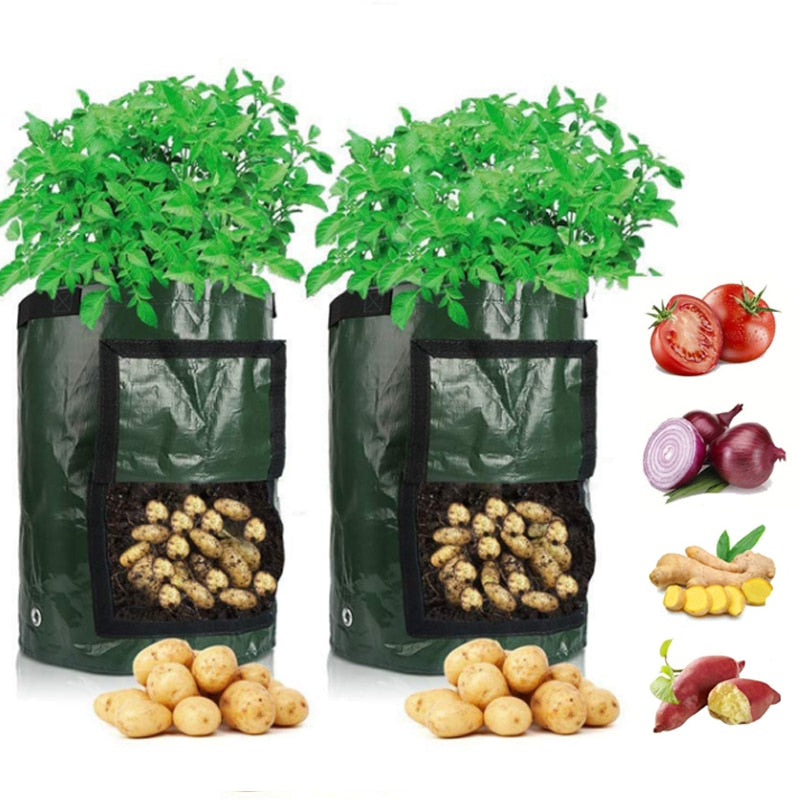 Potato Growing Bag