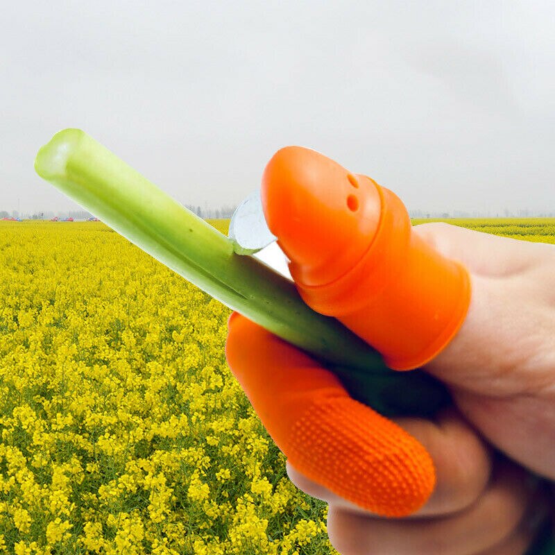 Vegetable picking knife