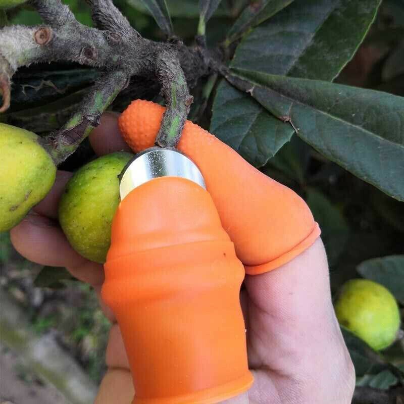 Vegetable picking knife