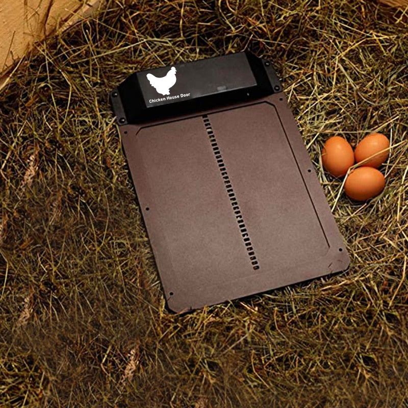 Automatic chicken coop door