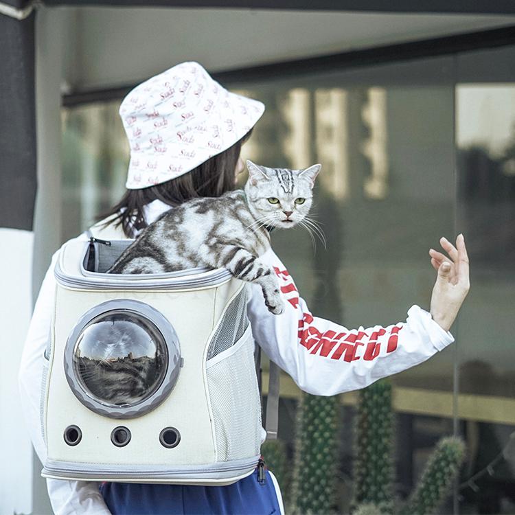 Pet travel basket