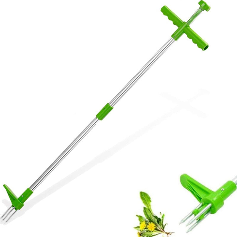Weed remover with long handle