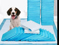 MagicPeePads - Ultimate potty training tool for the owner and the dog!