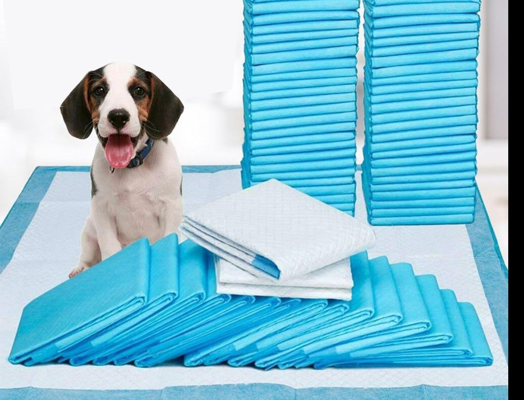 MagicPeePads - Ultimate potty training tool for the owner and the dog!