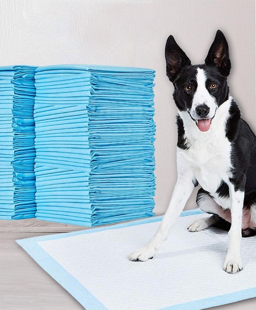 MagicPeePads - Ultimate potty training tool for the owner and the dog!