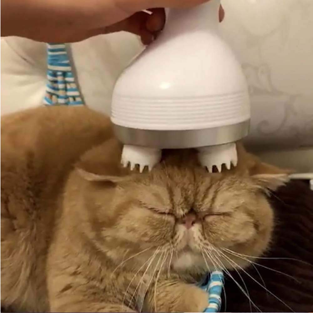 Electric Cat Head Massager