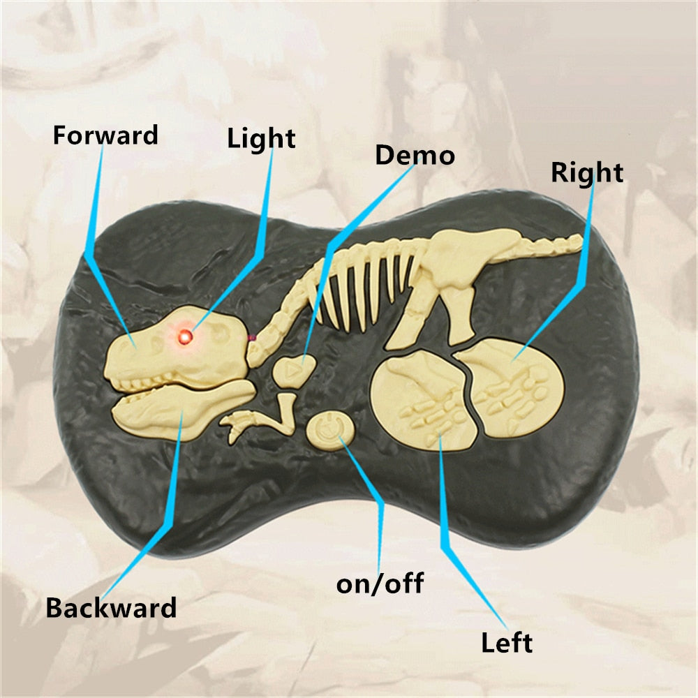 Realistic RC Dinosaur Toys