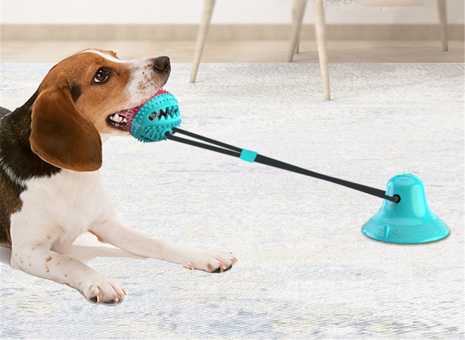 Interactive Dog Chewing Toy