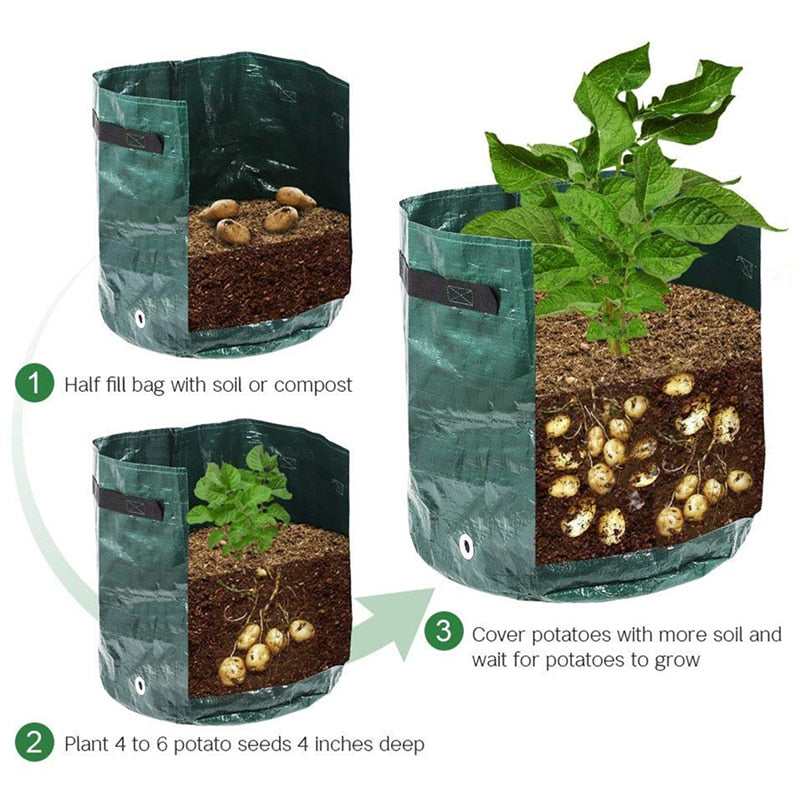 Potato Growing Bag