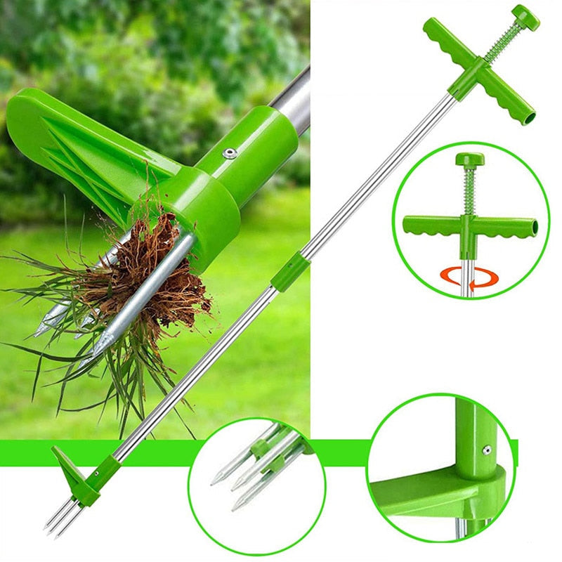 Weed remover with long handle