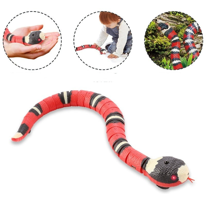 Snake Cat Toy