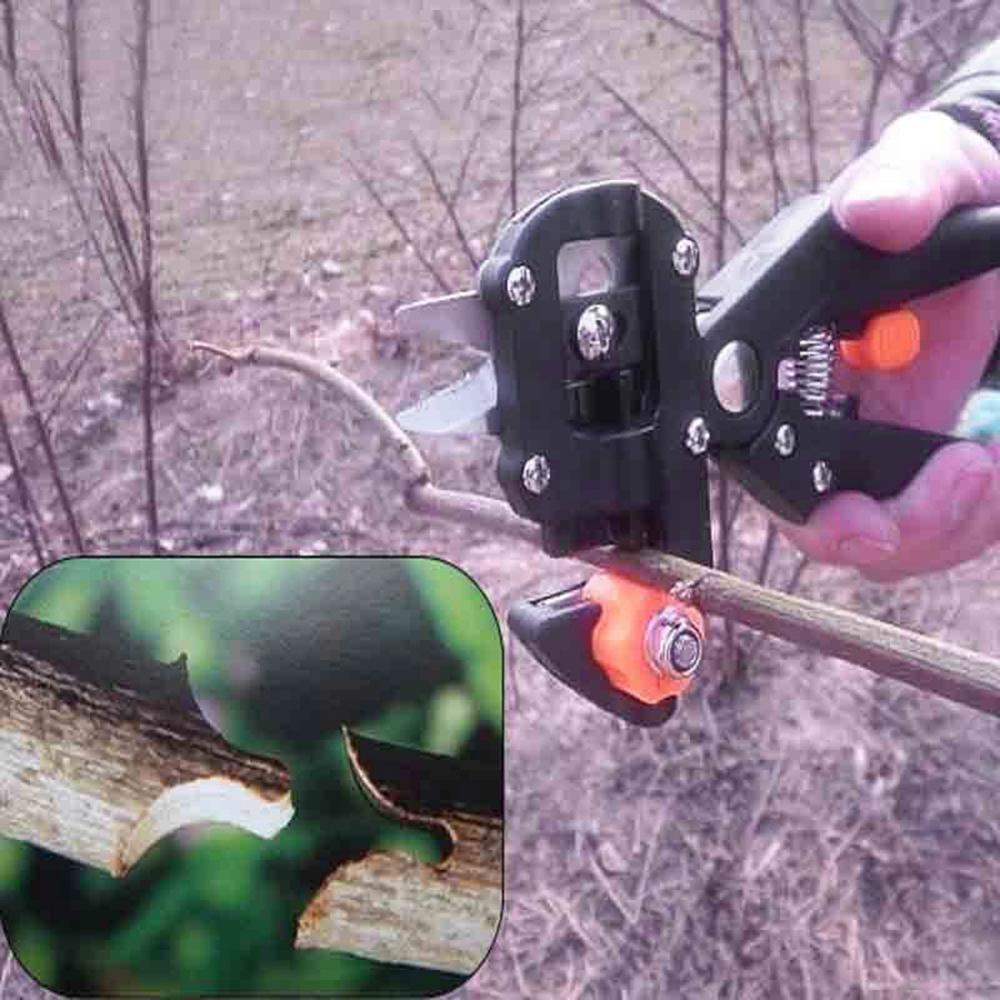 Tree Grafting Tool