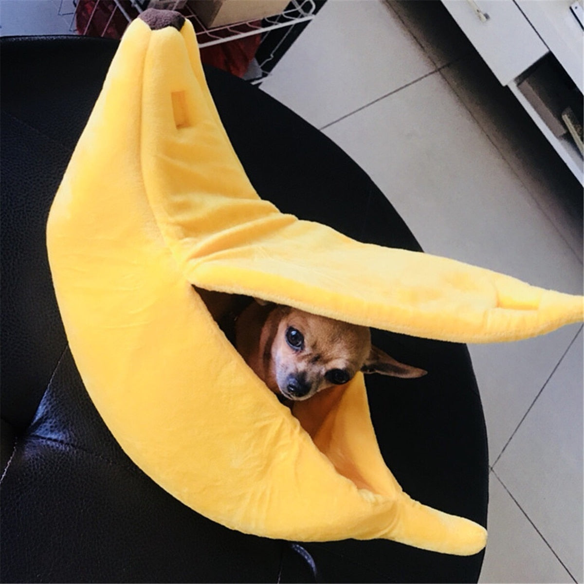 Banana Shelter