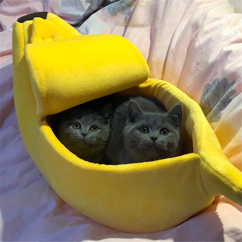 Banana Shelter
