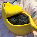 Banana Shelter