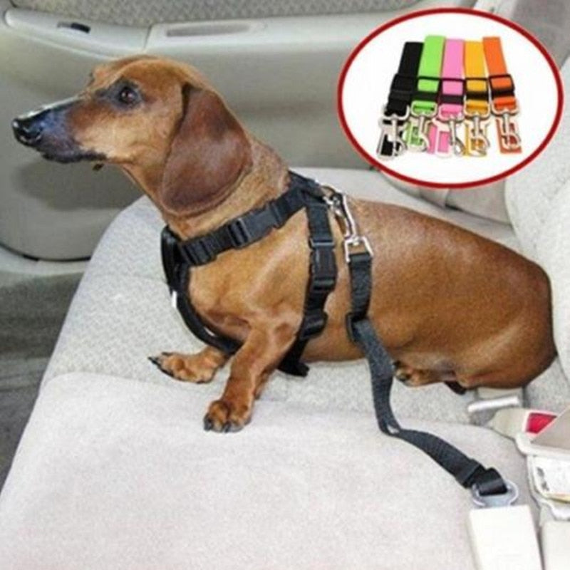 Dog Car Seat Belt