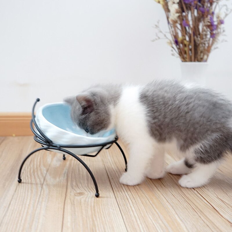 Shell Ceramic Food Bowl